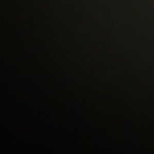 Meet your Posher, Shane